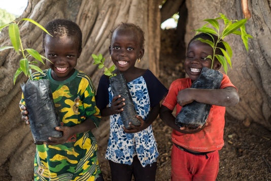 Piante pro Africa